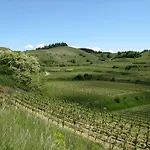 Vendégház Sprachpension - The Language
