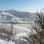 Sprachpension - The Language Vendégház Vogtsburg
