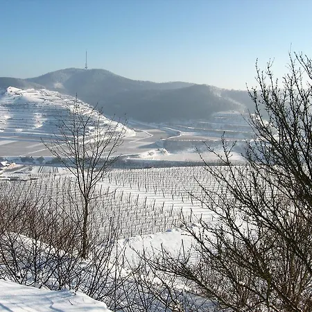 Sprachpension - The Language Guest house Vogtsburg