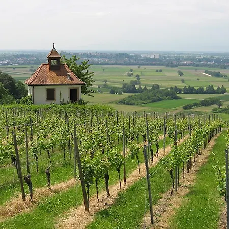 Sprachpension - The Language 招待所