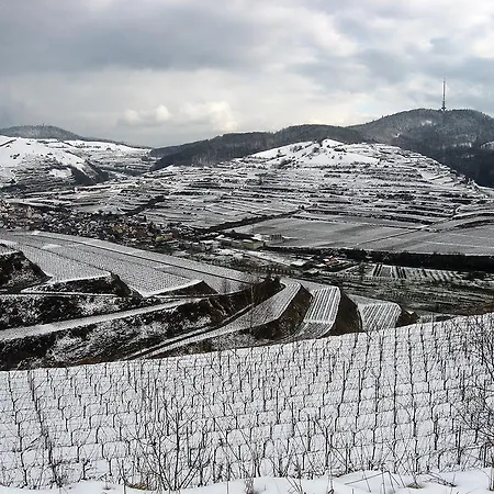 Sprachpension - The Language Vogtsburg