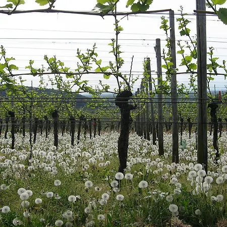 招待所 Sprachpension - The Language *