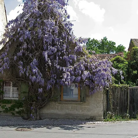 Guest house Sprachpension - The Language *