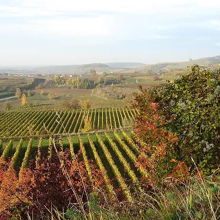 Sprachpension - The Language Vogtsburg