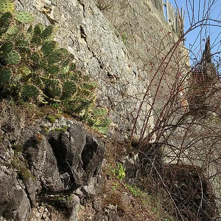 Sprachpension - The Language Guest house