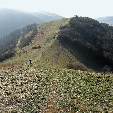 Sprachpension - The Language