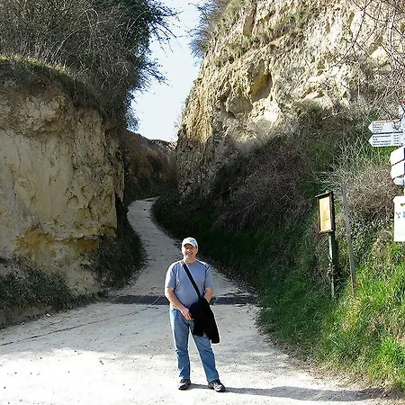 Sprachpension - The Language