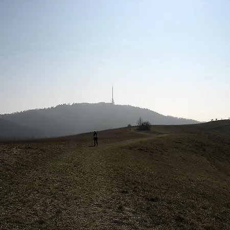 Sprachpension - The Language 招待所 *