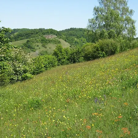 招待所 Sprachpension - The Language 福格茨堡