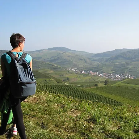 Sprachpension - The Language * Vogtsburg