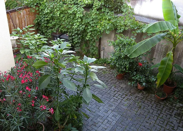 Sprachpension - The Language Maison d'hôtes *