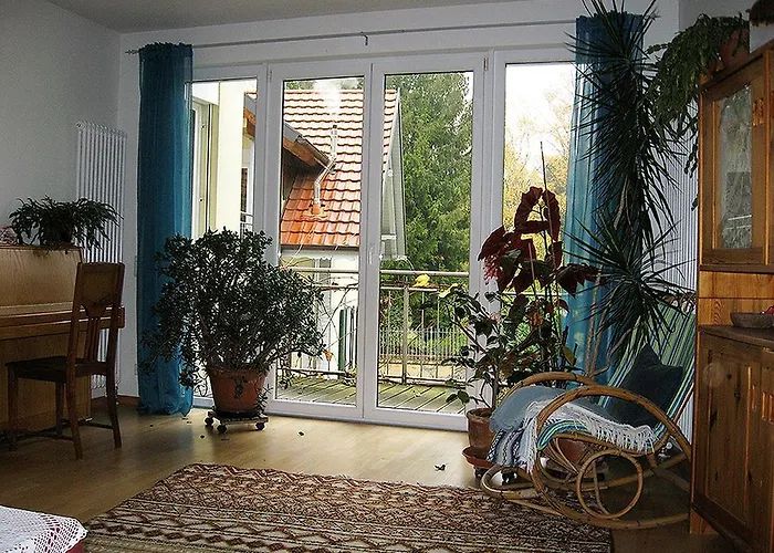 Sprachpension - The Language *