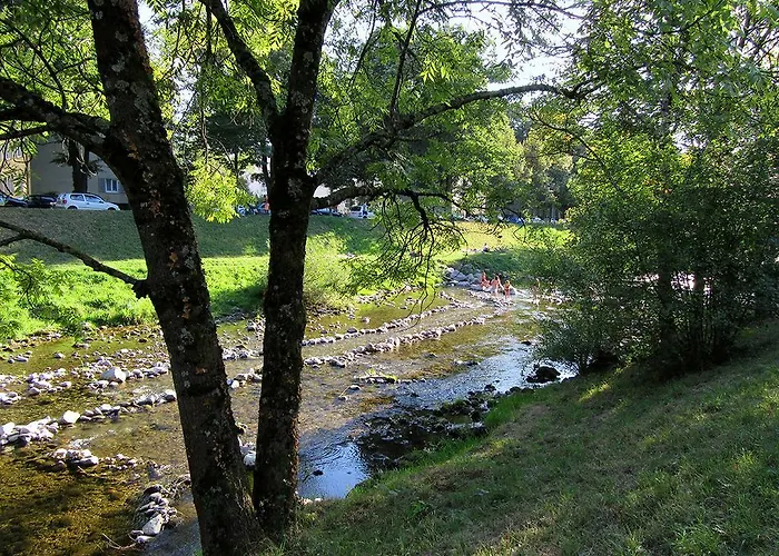 Sprachpension - The Language Vogtsburg im Kaiserstuhl