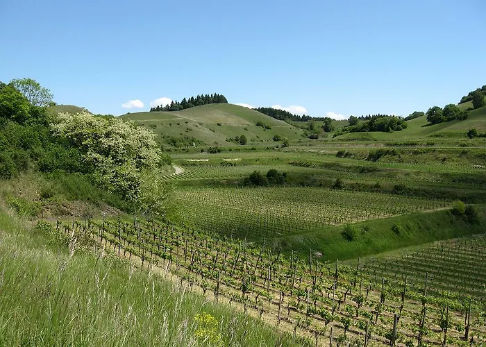 Maison d'hôtes Sprachpension - The Language