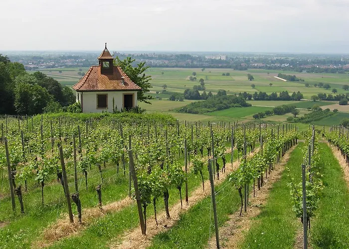 Sprachpension - The Language Maison d'hôtes