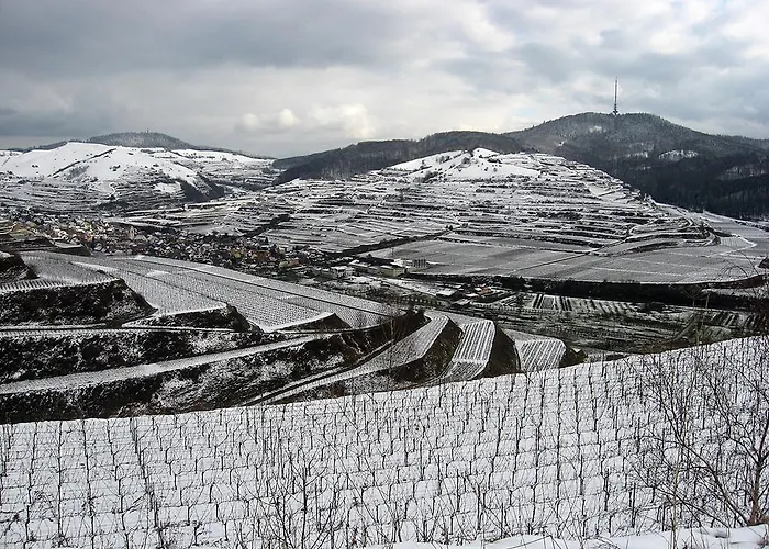Sprachpension - The Language Vogtsburg im Kaiserstuhl