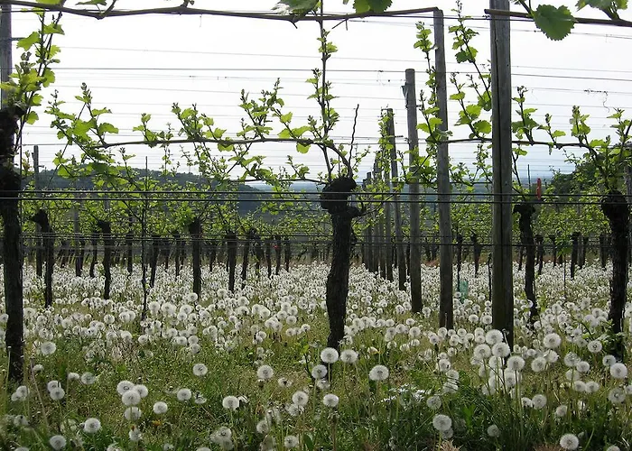 Maison d'hôtes Sprachpension - The Language *