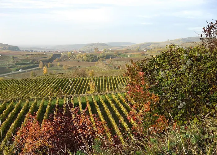 Sprachpension - The Language Vogtsburg im Kaiserstuhl