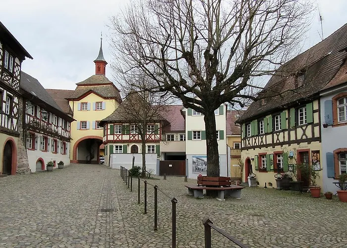 Maison d'hôtes Sprachpension - The Language Vogtsburg im Kaiserstuhl