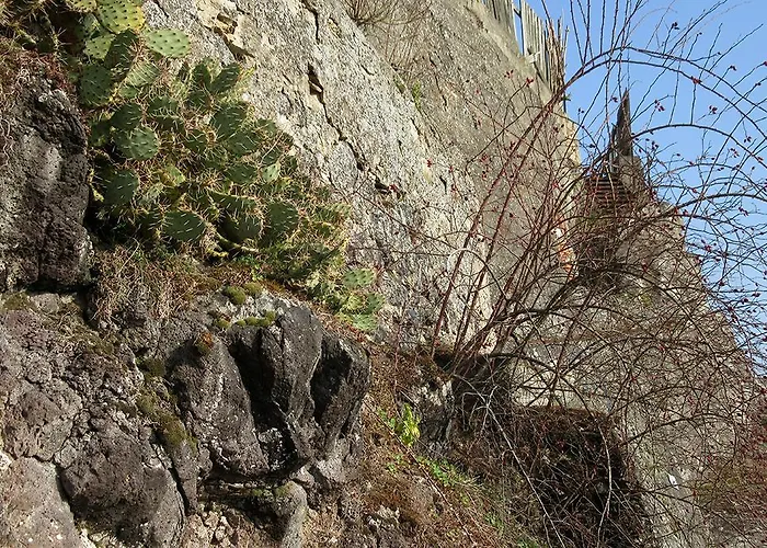 Sprachpension - The Language Maison d'hôtes