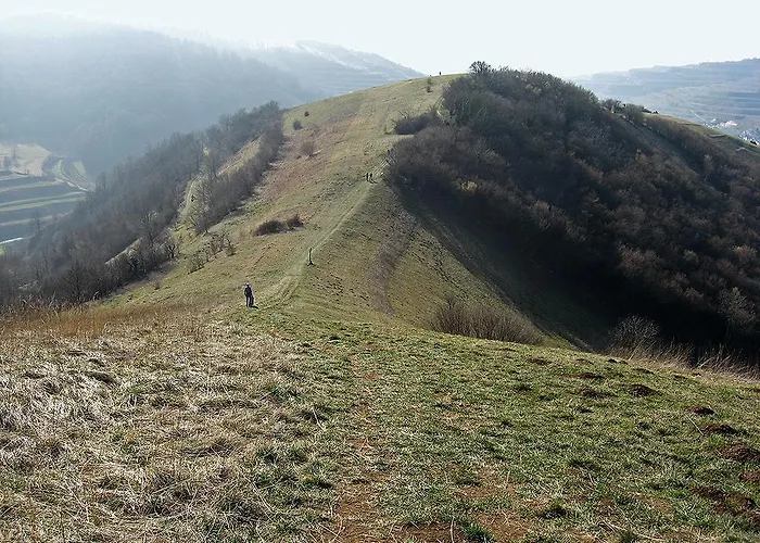 Sprachpension - The Language