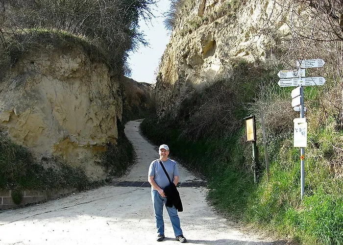 Sprachpension - The Language