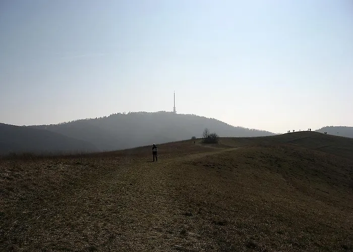 Sprachpension - The Language Maison d'hôtes *