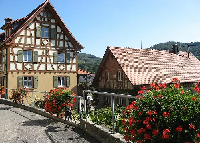 Sprachpension - The Language