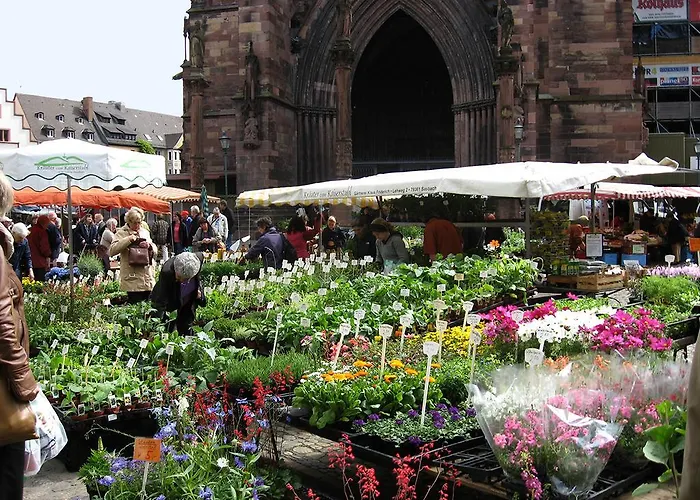 Maison d'hôtes Sprachpension - The Language