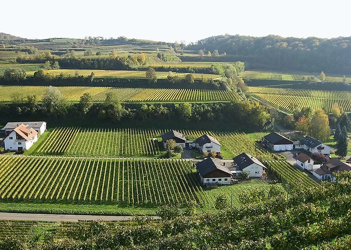 Sprachpension - The Language Vogtsburg im Kaiserstuhl