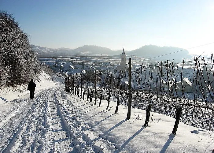 Maison d'hôtes Sprachpension - The Language Vogtsburg im Kaiserstuhl