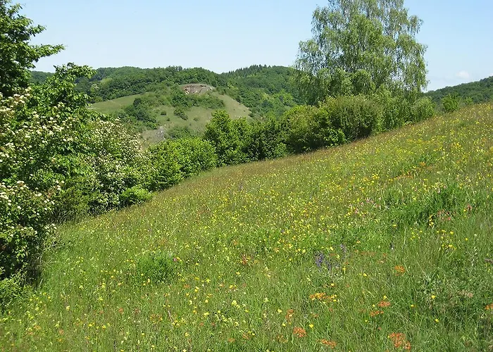 Maison d'hôtes Sprachpension - The Language Vogtsburg im Kaiserstuhl