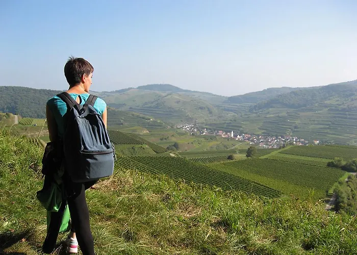 Sprachpension - The Language * Vogtsburg im Kaiserstuhl